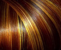 Stacks Image 829